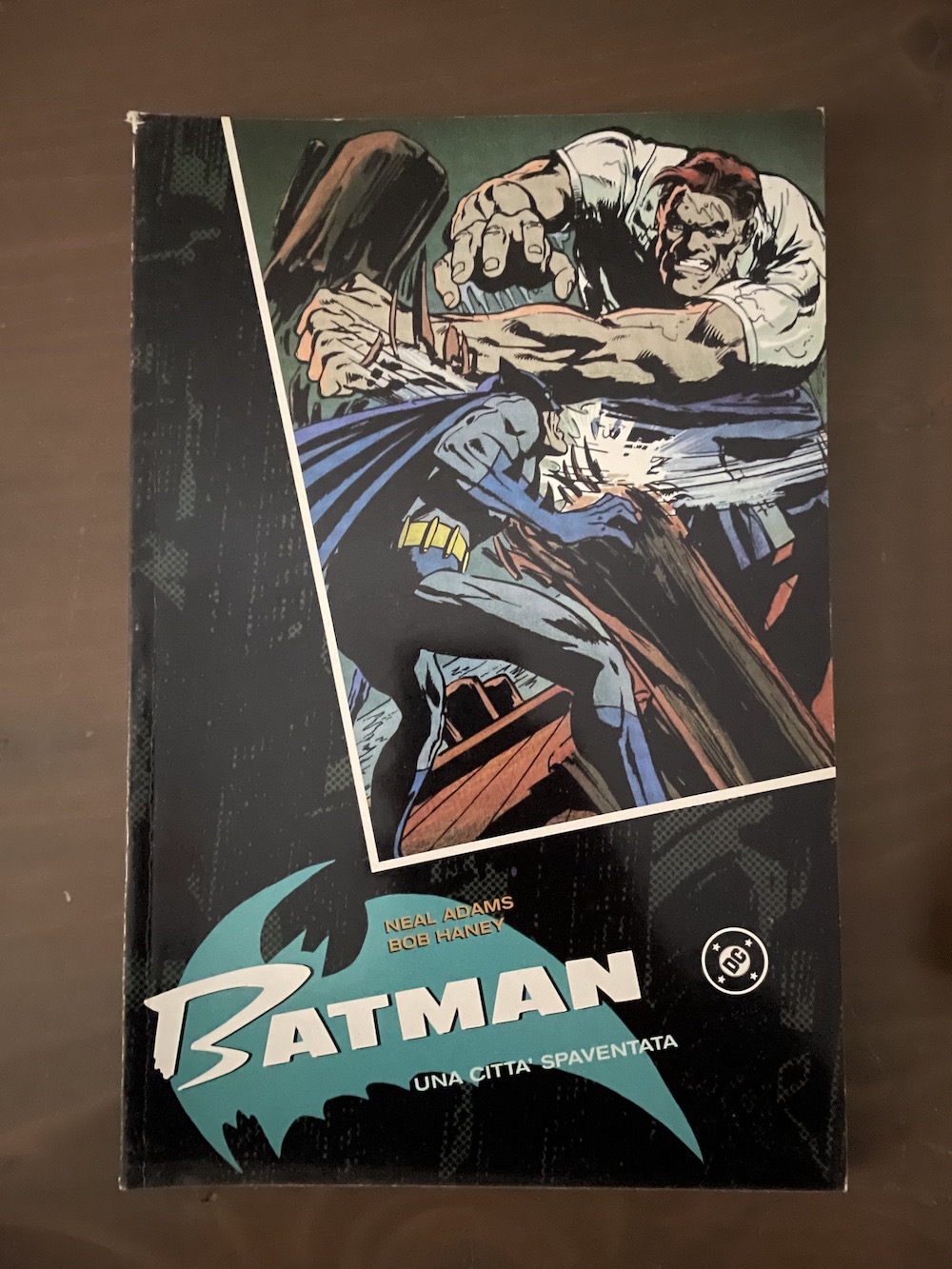 Batman, Una città spaventata - Play press _
