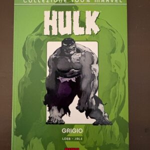Hulk Grigio 100% Marvel unico - Jeph Loeb / Tim Sale - Panini