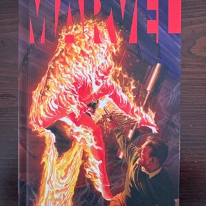 Marvel La Meraviglia di Alex Ross PANINI -  2023