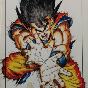 Dragon Ball Speciale Passato Presente Futuro - Rock'N'Comics Akira Toriyama
